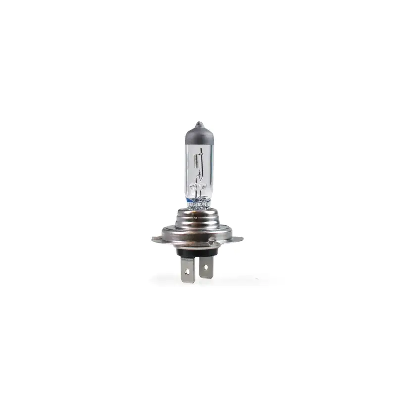 Extra rabatt Lampa H7 12V 100W Rally