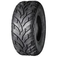 Begränsat antal Anlas An-Track 21x10.00 D10 39J